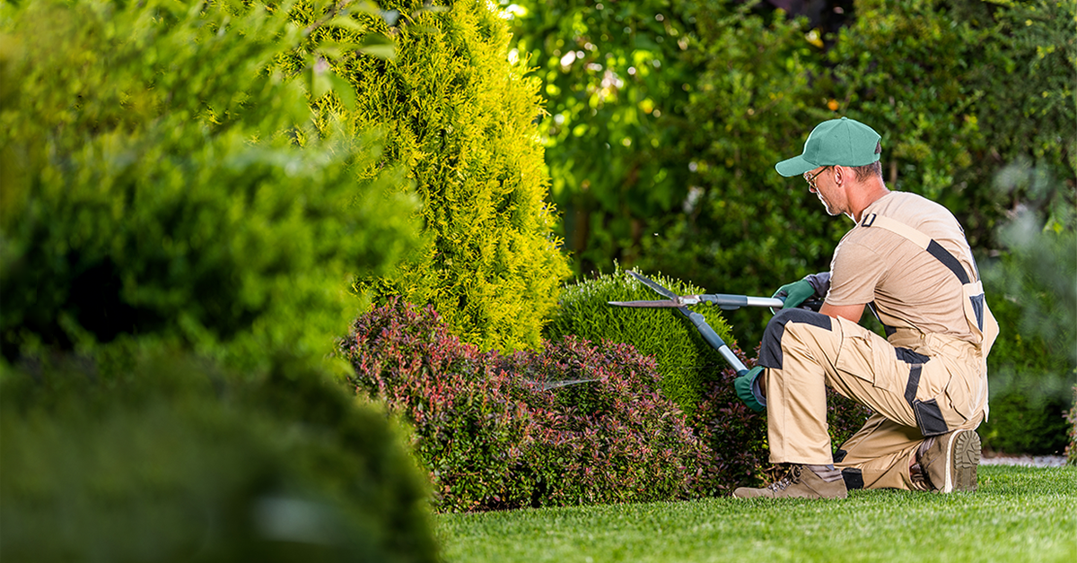 Gartenpflege